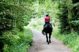 A girl riding a horse.